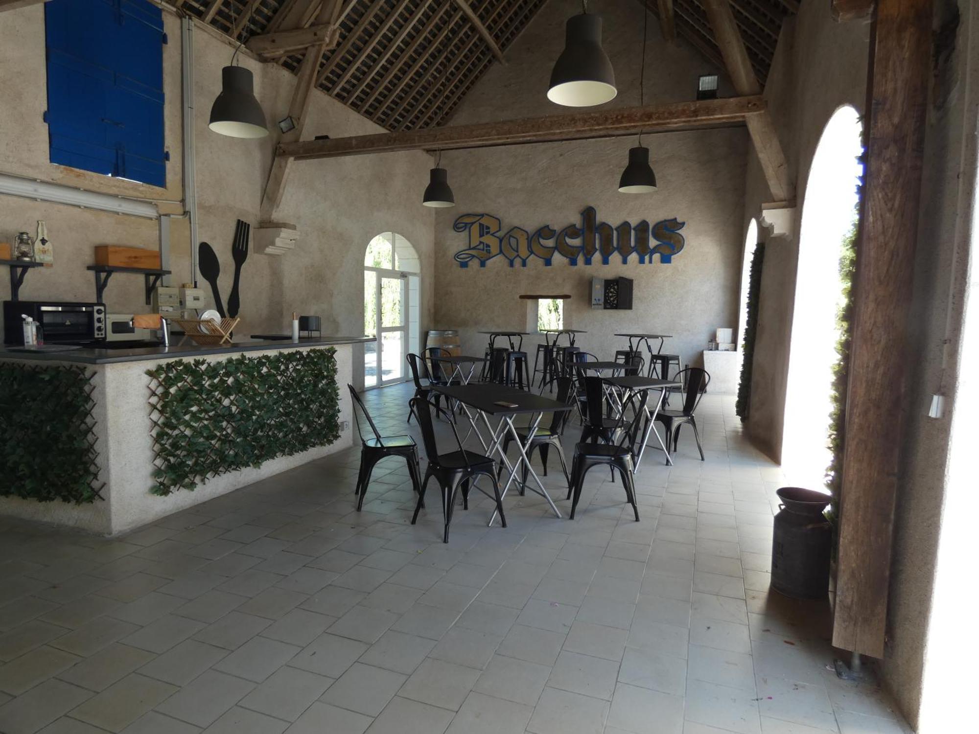 Moulin De Bacchus - Chateaux De La Loire Chancay Екстер'єр фото