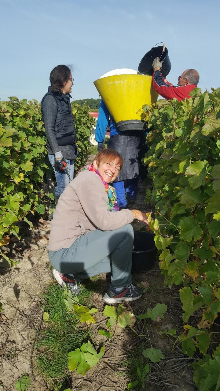 Moulin De Bacchus - Chateaux De La Loire Chancay Екстер'єр фото